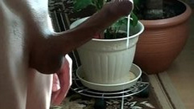 Boy Boy Sex