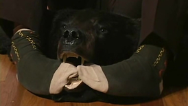 Good boy teasing the camera with his delicious toes