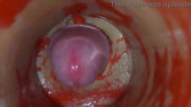 Insemination rage-anger Internal Camera Grips Deep Male Climax