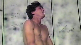 VCA Fag fury- Hung